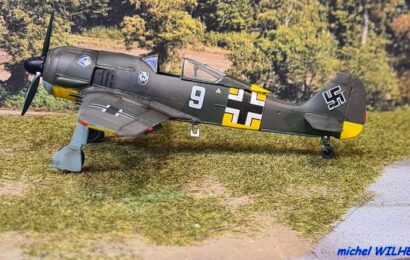 Focke Wulf Fw 109A-3 1/72 Kovozávody Prostějov